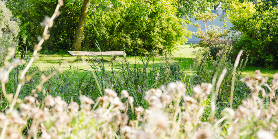 Kingstrup set oppefra