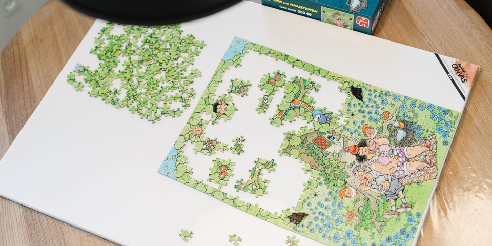 Puslespil i Ungehuset Røjleskov