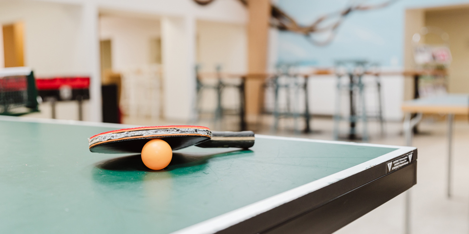 Bordtennis i fæl